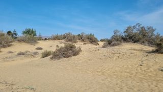 2023-GC--Mapalomas dunas-S123-182.jpg